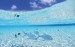 1280_Maldivess Blue Sky And Turquoise Sea  School Of Fish In Clear Water, Biyadoo Island Resort, Maldives